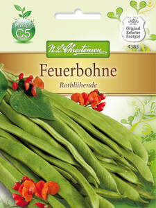 Samen - Prunkbohne Rotblhende: (Bildbeschreibung ist in Arbeit)