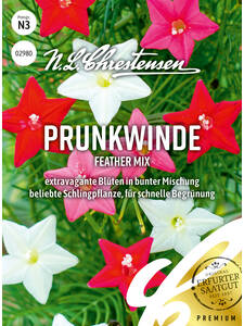 Samen - Prunkwinde Feather Mix