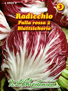 Samen - Radicchio Palla Rossa 2: (Bildbeschreibung ist in Arbeit)