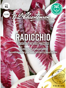Salatsamen - Radicchio Rossa di Treviso precoce