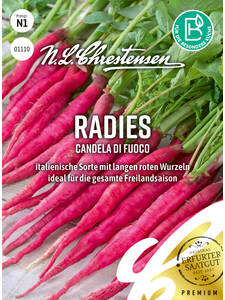 Samen - Radies Candela di fuoco: (Bildbeschreibung ist in Arbeit)