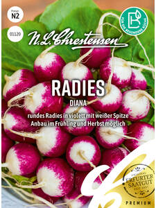 Samen - Radies Diana: (Bildbeschreibung ist in Arbeit)