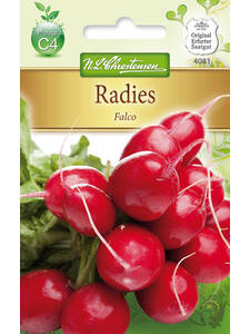 Samen - Radies Falco: (Bildbeschreibung ist in Arbeit)