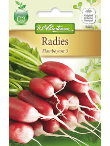 Samen - Radies Flamboyant 3: (Bildbeschreibung ist in Arbeit)