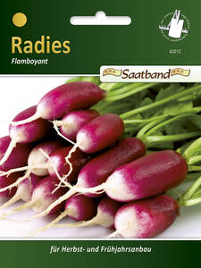 Samen - Radies Flamboyant 3 : (Bildbeschreibung ist in Arbeit)