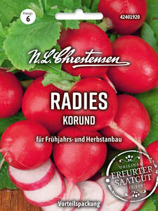 Dekoratives Vorschaubild des Artikels "Radies Korund" (Bildbeschreibung ist in Arbeit)