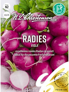 Balkonpflanzen - Radies Viola: (Bildbeschreibung ist in Arbeit)