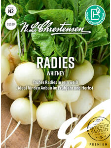 Balkonpflanzen - Radies Whitney: (Bildbeschreibung ist in Arbeit)