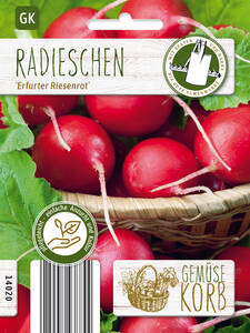 Dekoratives Vorschaubild des Artikels "Radieschen Erfurter Riesenrot" (Bildbeschreibung ist in Arbeit)