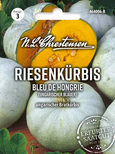 Dekoratives Vorschaubild des Artikels "Riesenkrbis Bleu de Hongrie (Ungarischer Blauer)" (Bildbeschreibung ist in Arbeit)