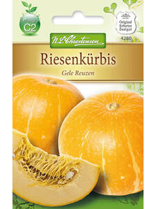 Krbissamen - Riesenkrbis Gele Reuzen: (Bildbeschreibung ist in Arbeit)