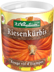Krbissamen - Riesenkrbis `Rouge vif d'Etampes: (Bildbeschreibung ist in Arbeit)