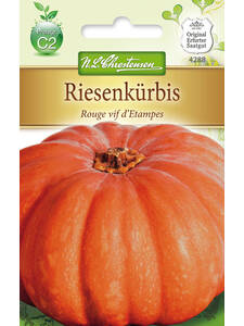 Samen - Riesenkrbis Rouge vif d'Etampes: (Bildbeschreibung ist in Arbeit)