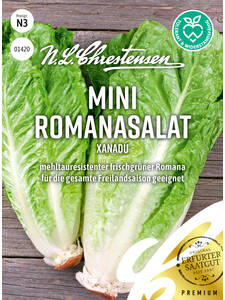 Salatsamen - Romanasalat Xanadu