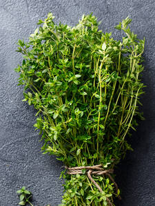 Kruterpflanzen - Rosen-Thymian