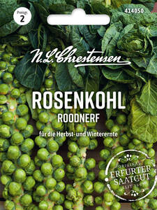 Dekoratives Vorschaubild des Artikels "Rosenkohl Roodnerf" (Bildbeschreibung ist in Arbeit)