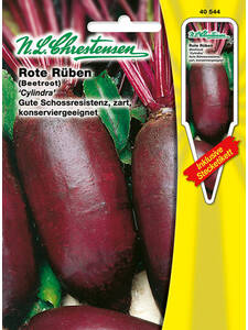 Dekoratives Vorschaubild des Artikels "Rote Rübe Cylindra" (Bildbeschreibung ist in Arbeit)