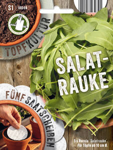 Salatsamen - Rucola Salatrauke - Saatscheiben