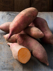 Pflanzgut - Süßkartoffel Erato® Vineland Early Orange