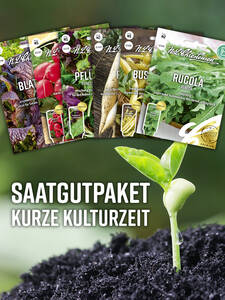 Rucola-Samen - Saatgutpaket Kurze Kulturzeit: (Bildbeschreibung ist in Arbeit)