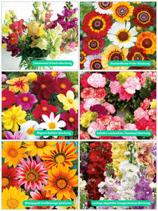 Saatschalen - Sommerliche Blumenpracht: (Bildbeschreibung ist in Arbeit)