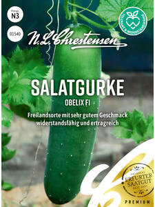Gurkensamen - Salatgurke Obelix, F1: (Bildbeschreibung ist in Arbeit)