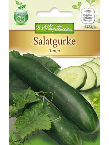 Samen - Salatgurke Tanja: (Bildbeschreibung ist in Arbeit)