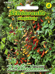 Samen - Schnranke: (Bildbeschreibung ist in Arbeit)