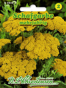 Samen - Schafgarbe: (Bildbeschreibung ist in Arbeit)