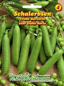 Samen - Schalerbse Frhe Harzerin: (Bildbeschreibung ist in Arbeit)
