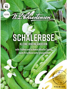 Erbsensamen - Schalerbse Kleine Rheinlnderin