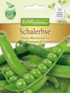 Samen - Schalerbse Kleine Rheinlnderin: (Bildbeschreibung ist in Arbeit)