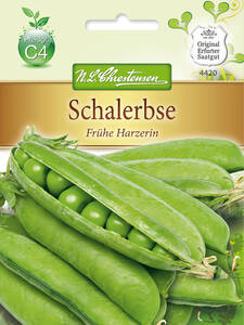 Samen - Schalerbsen Frhe Harzerin: (Bildbeschreibung ist in Arbeit)