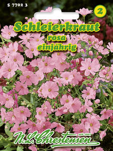 Samen - Schleierkraut Rosa: (Bildbeschreibung ist in Arbeit)