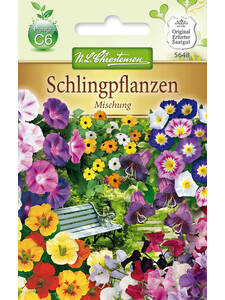 Samen - Schlingpflanzen Mischung: (Bildbeschreibung ist in Arbeit)