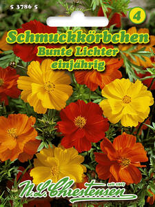 Samen - Schmuckkrbchen Bunte Lichter: (Bildbeschreibung ist in Arbeit)