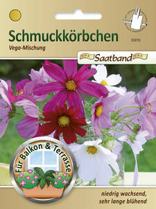 Samen - Schmuckkrbchen Vega-Mischung