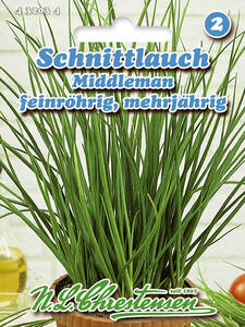 Dekoratives Vorschaubild des Artikels "Schnittlauch Middleman" (Bildbeschreibung ist in Arbeit)