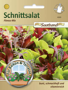 Samen - Schnittsalat Fitness-Mix: (Bildbeschreibung ist in Arbeit)