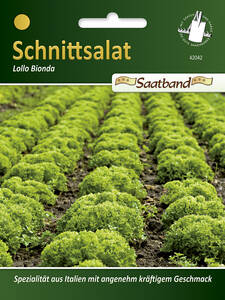 Samen - Schnittsalat Lollo Bionda: (Bildbeschreibung ist in Arbeit)