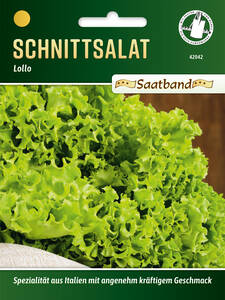 Dekoratives Vorschaubild des Artikels "Schnittsalat Lollo" (Bildbeschreibung ist in Arbeit)