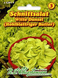 Samen - Schnittsalat Witte Dunsel: (Bildbeschreibung ist in Arbeit)