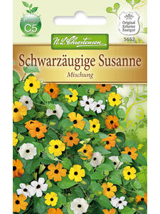 Samen - Schwarzugige Susanne Mischung: (Bildbeschreibung ist in Arbeit)