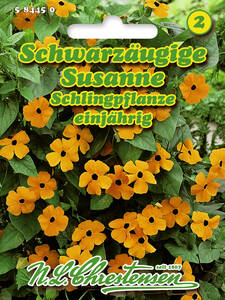 Samen - Schwarzugige Susanne