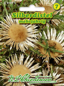 Samen - Silberdistel: (Bildbeschreibung ist in Arbeit)
