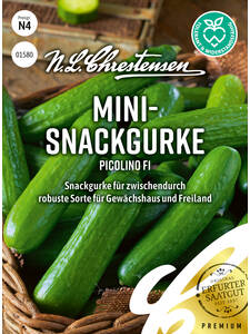 Gurkensamen - Snackgurke Picolino, F1: (Bildbeschreibung ist in Arbeit)