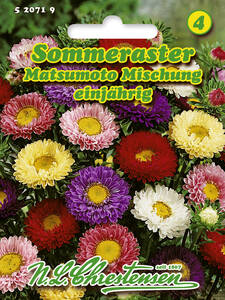 Sommeraster Matsumoto Mischung