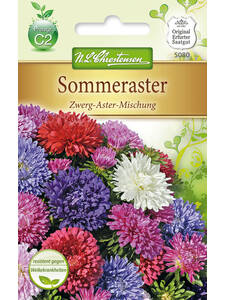 Samen - Sommeraster Zwerg-Aster-Mischung: (Bildbeschreibung ist in Arbeit)