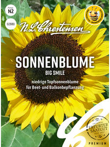 Samen - Sonnenblume Big Smile
