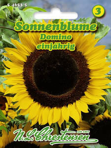 Samen - Sonnenblume Domino